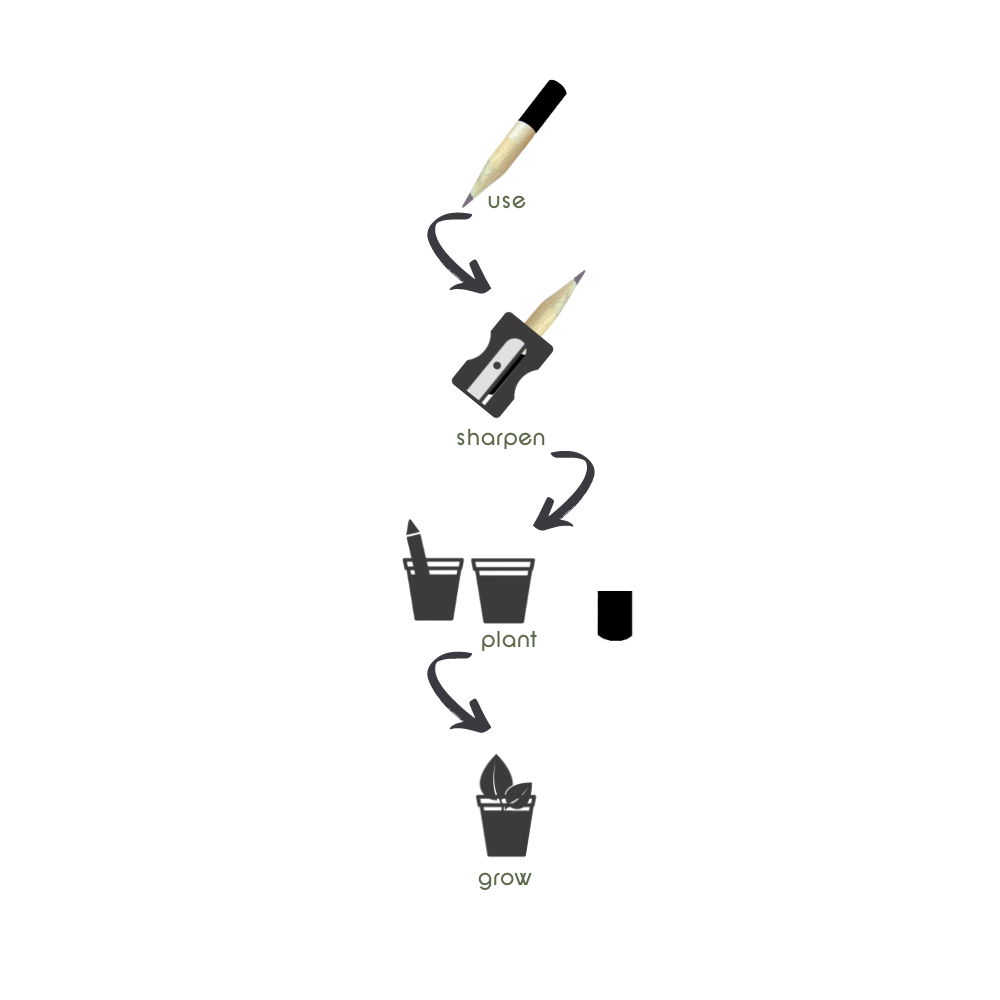 Μολύβι με σπόρους φύτευσης | Μέντα