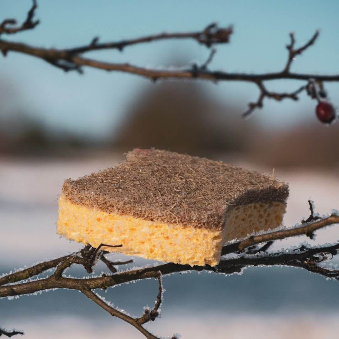 σφουγγάρι καθαρισμού σπιτιού
