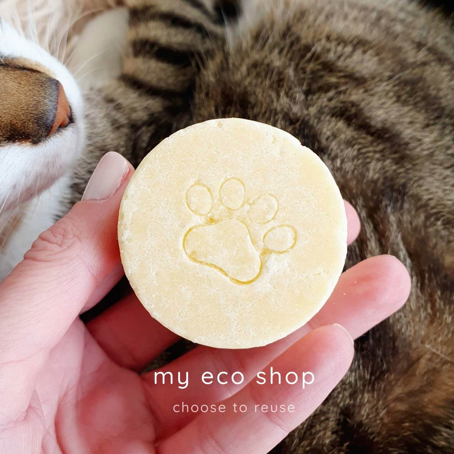 shampoo bar Για σκύλους και γάτες