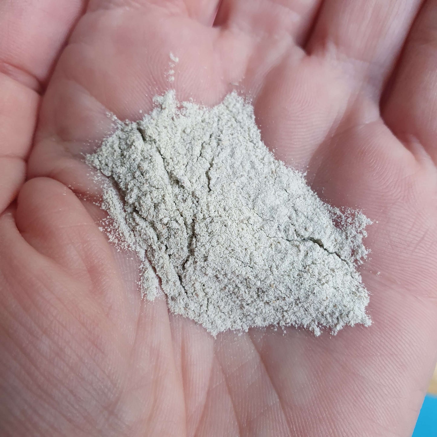 CatApproved 🐱🌿 Οικολογικό ενισχυτικό άμμου