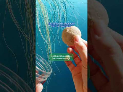 Γυάλινο βαζάκι | αποθήκευσης στερεών καλλυντικών