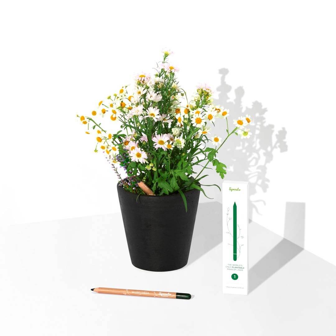 Μαύρο φυτεύσιμο eyeliner SproutWorld δίπλα σε γλάστρα με αγριολούλουδα