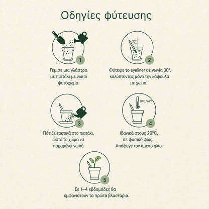 Οδηγίες φύτευσης για το φυτεύσιμο eyeliner SproutWorld σε πέντε βήματα