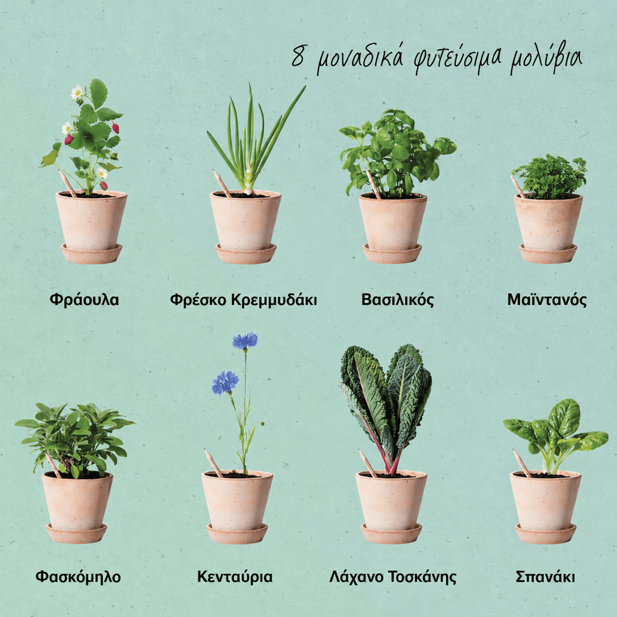 proutWorld Four Seasons φυτεύσιμα μολύβια με 8 διαφορετικούς σπόρους: φράουλα, κρεμμυδάκι, βασιλικό, μαϊντανό, φασκόμηλο, κενταύρια, λάχανο Τοσκάνης και σπανάκι.
