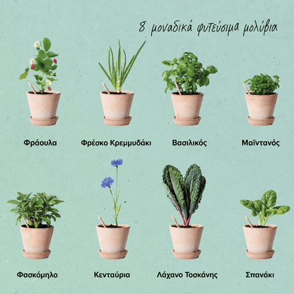 proutWorld Four Seasons φυτεύσιμα μολύβια με 8 διαφορετικούς σπόρους: φράουλα, κρεμμυδάκι, βασιλικό, μαϊντανό, φασκόμηλο, κενταύρια, λάχανο Τοσκάνης και σπανάκι.