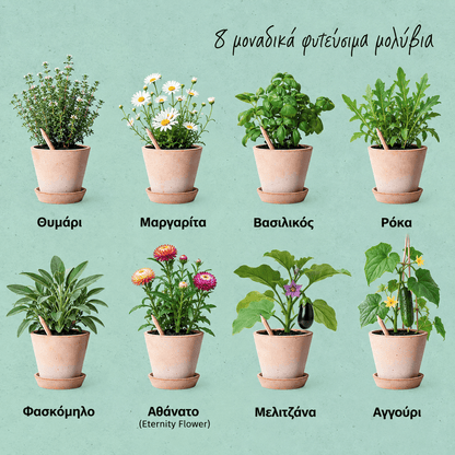 SproutWorld Mindful Thoughts φυτεύσιμα μολύβια με 8 διαφορετικούς σπόρους: θυμάρι, μαργαρίτα, βασιλικό, ρόκα, φασκόμηλο, αθάνατο, μελιτζάνα και αγγούρι.
