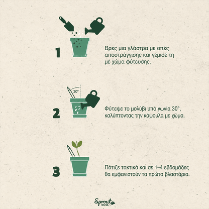 Οδηγίες φύτευσης μολυβιού SproutWorld σε τρία βήματα με γλάστρα, χώμα και τακτικό πότισμα