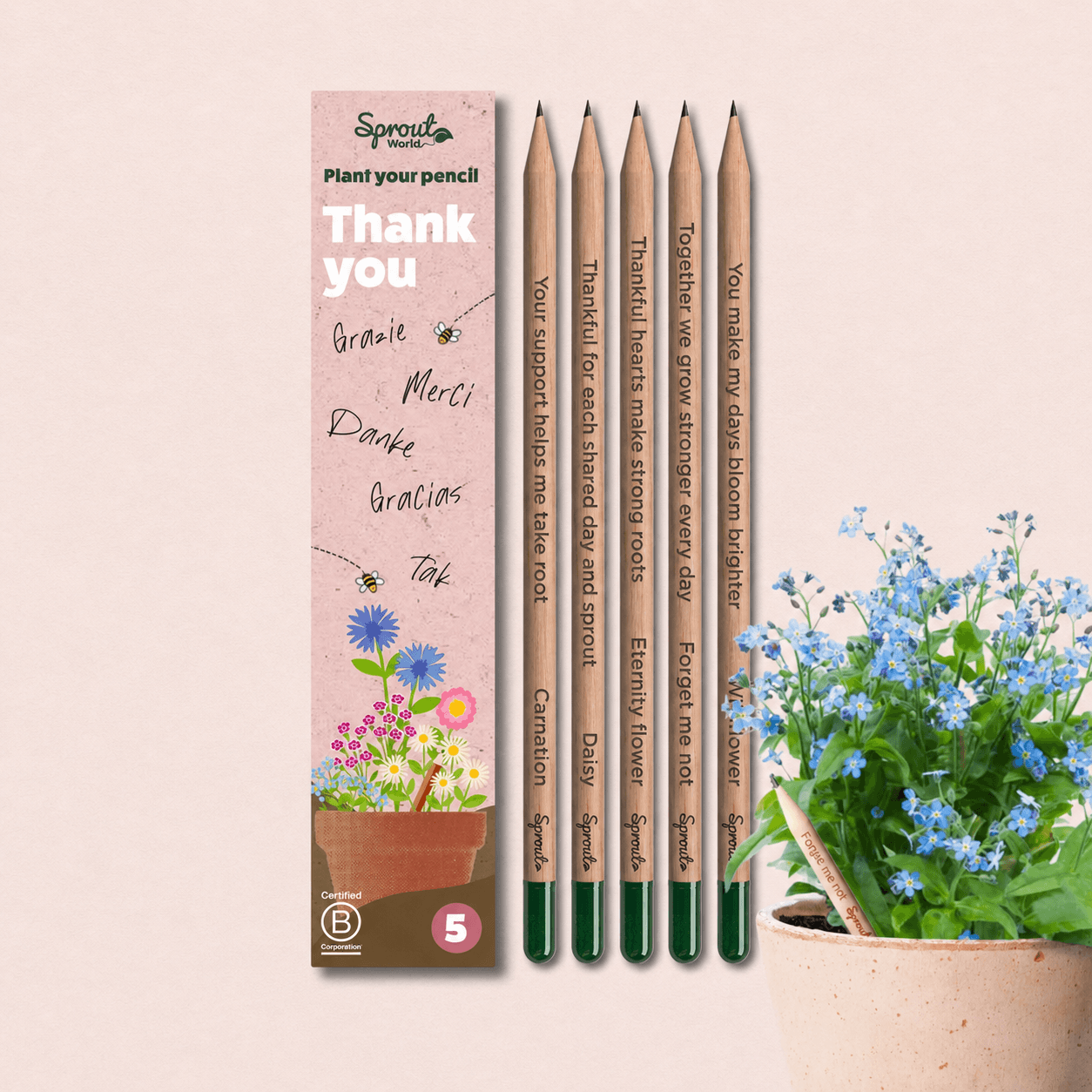 Σετ πέντε φυτεύσιμων μολυβιών SproutWorld Thank You με σπόρους λουλουδιών