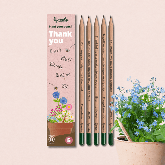 Σετ πέντε φυτεύσιμων μολυβιών SproutWorld Thank You με σπόρους λουλουδιών